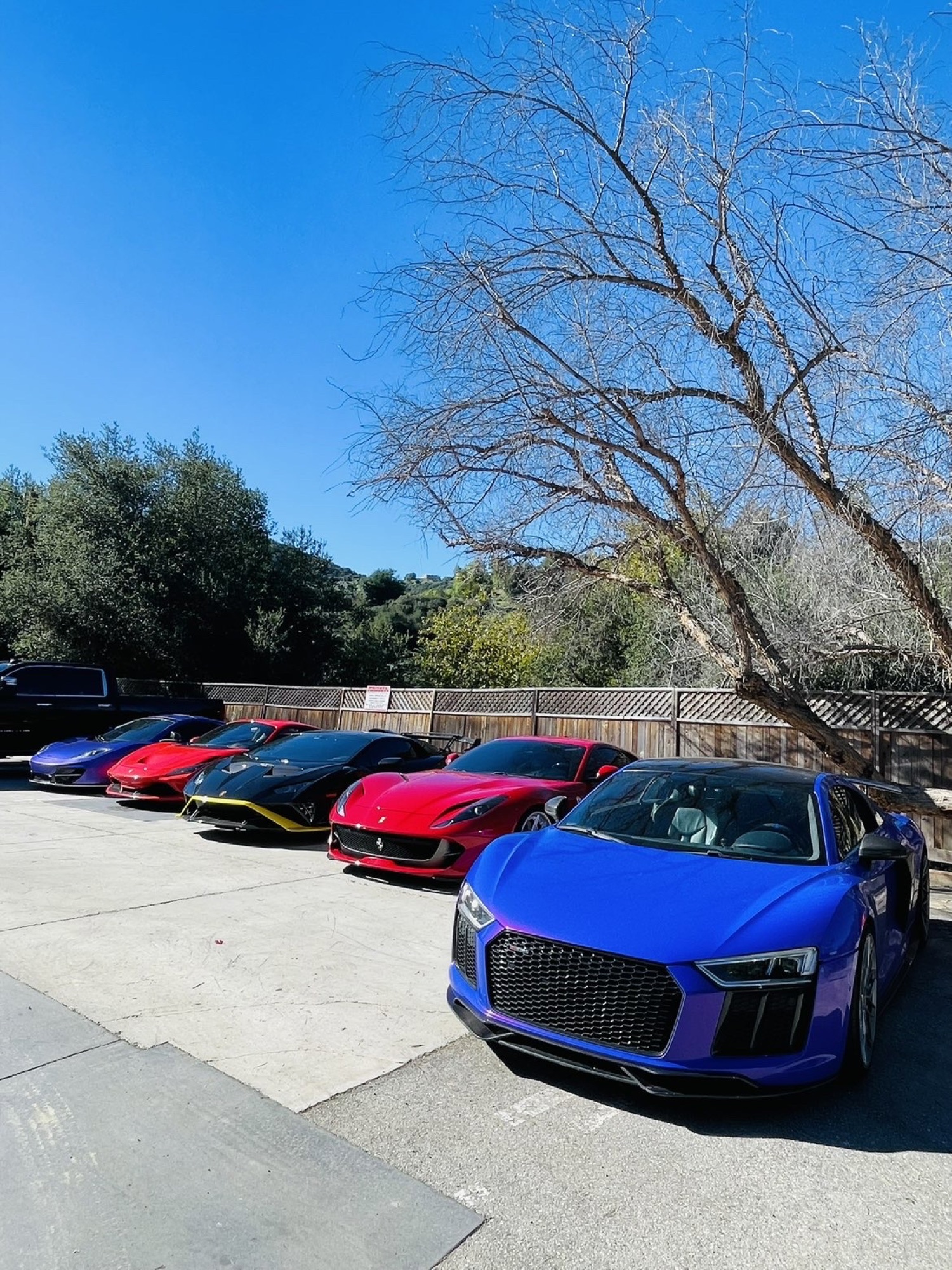 A line of cars parked under a bare tree